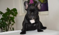 Virgie
