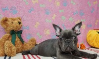 Moris