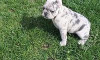 Nelly