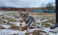 Harvey