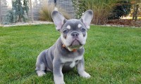 Romy