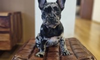Reila
