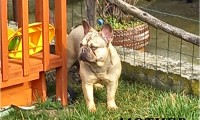 Kyna