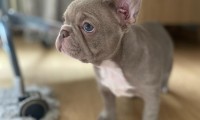 Marley