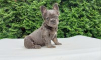 Barnie Fluffy