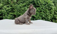 Barnie Fluffy