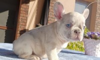 Giuseppe